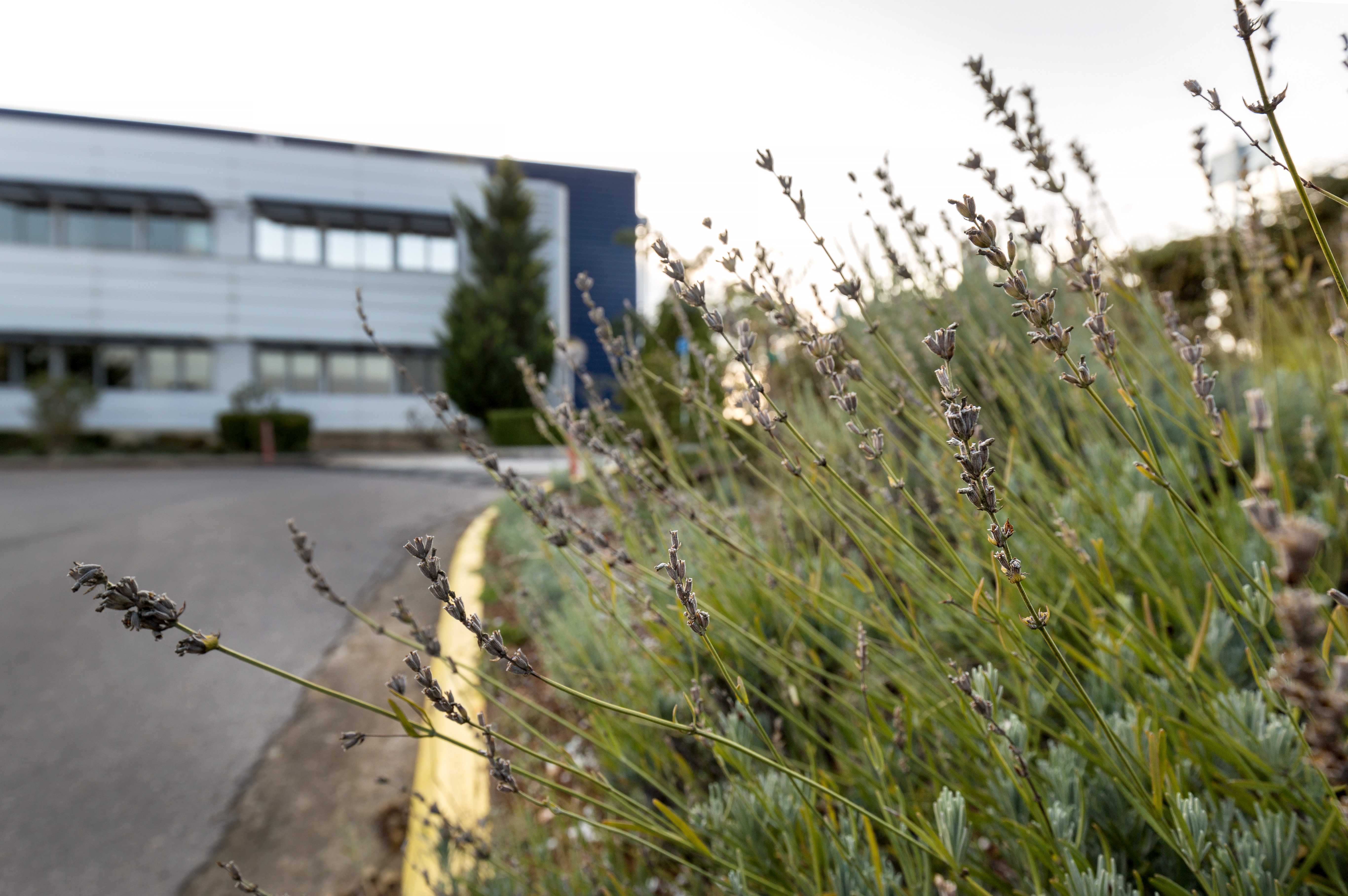 loreal hellas logistics outdoor areas-0