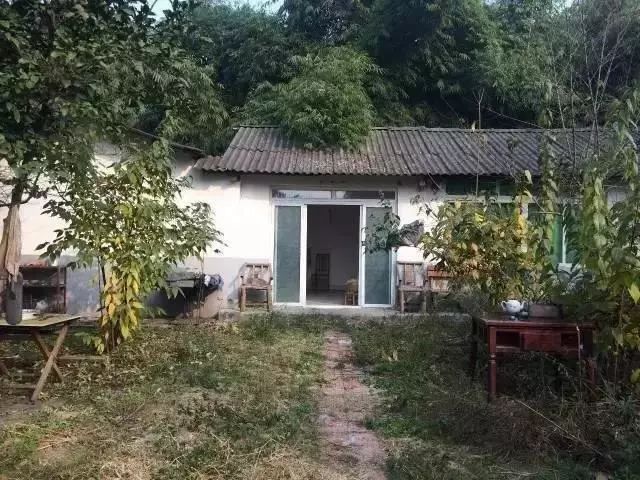 她徒手爆改废弃院子，三人一猫一狗，过着最诗意的生活！-36