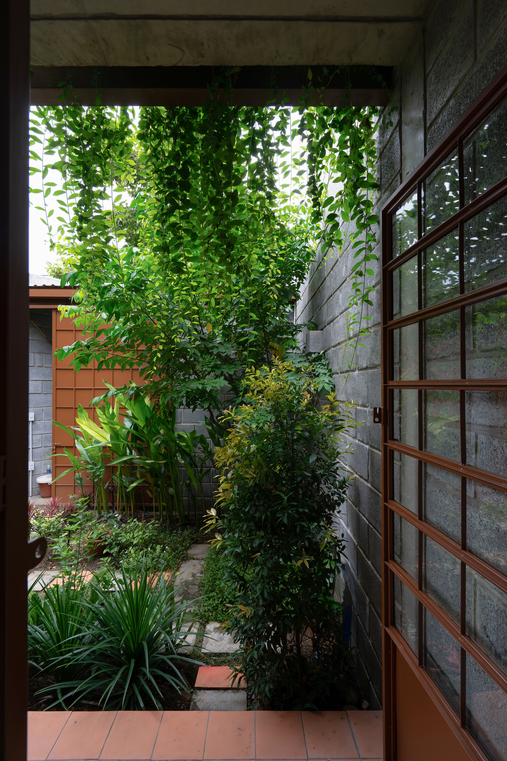 平阳的房子丨越南丨Tad.atelier-23