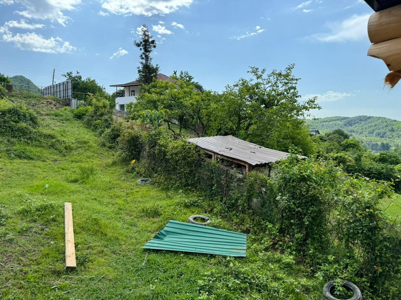 “Дом в Лесу”地块美化项目丨俄罗斯丨Светлана Кормилец(景观建筑师)-7