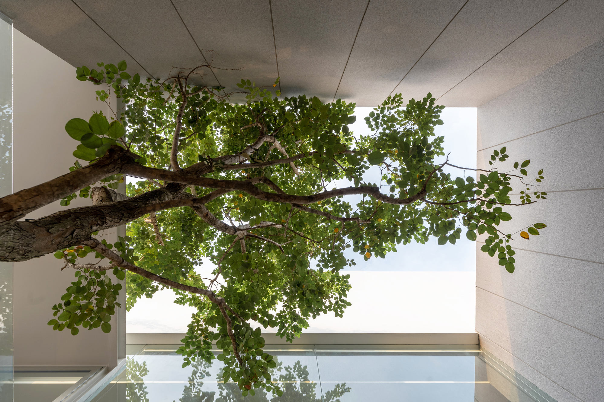 Mit Chit House丨泰国曼谷丨Looklen Architects-41