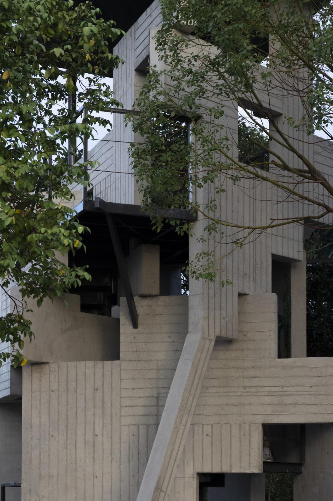 繁茂的遗迹,垂直自然塔丨中国佛山丨合造社建筑事务所-24