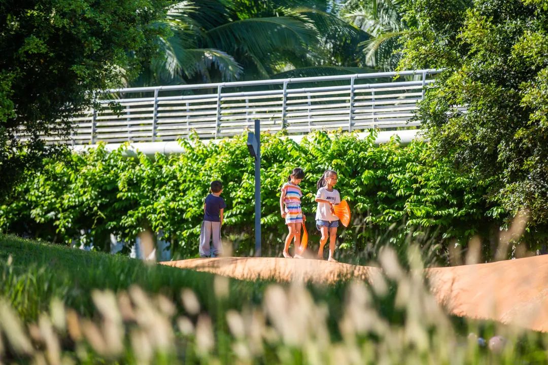 海口市美舍河凤翔湿地公园丨中国海口丨土人设计-76