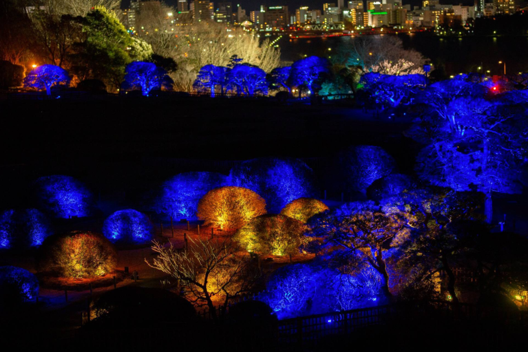 teamLab偕乐园光之祭丨日本-63