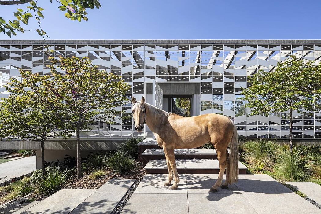 层叠之居,光影游戏·以色列特拉维夫 MA 住宅丨Pitsou Kedem Architects-15