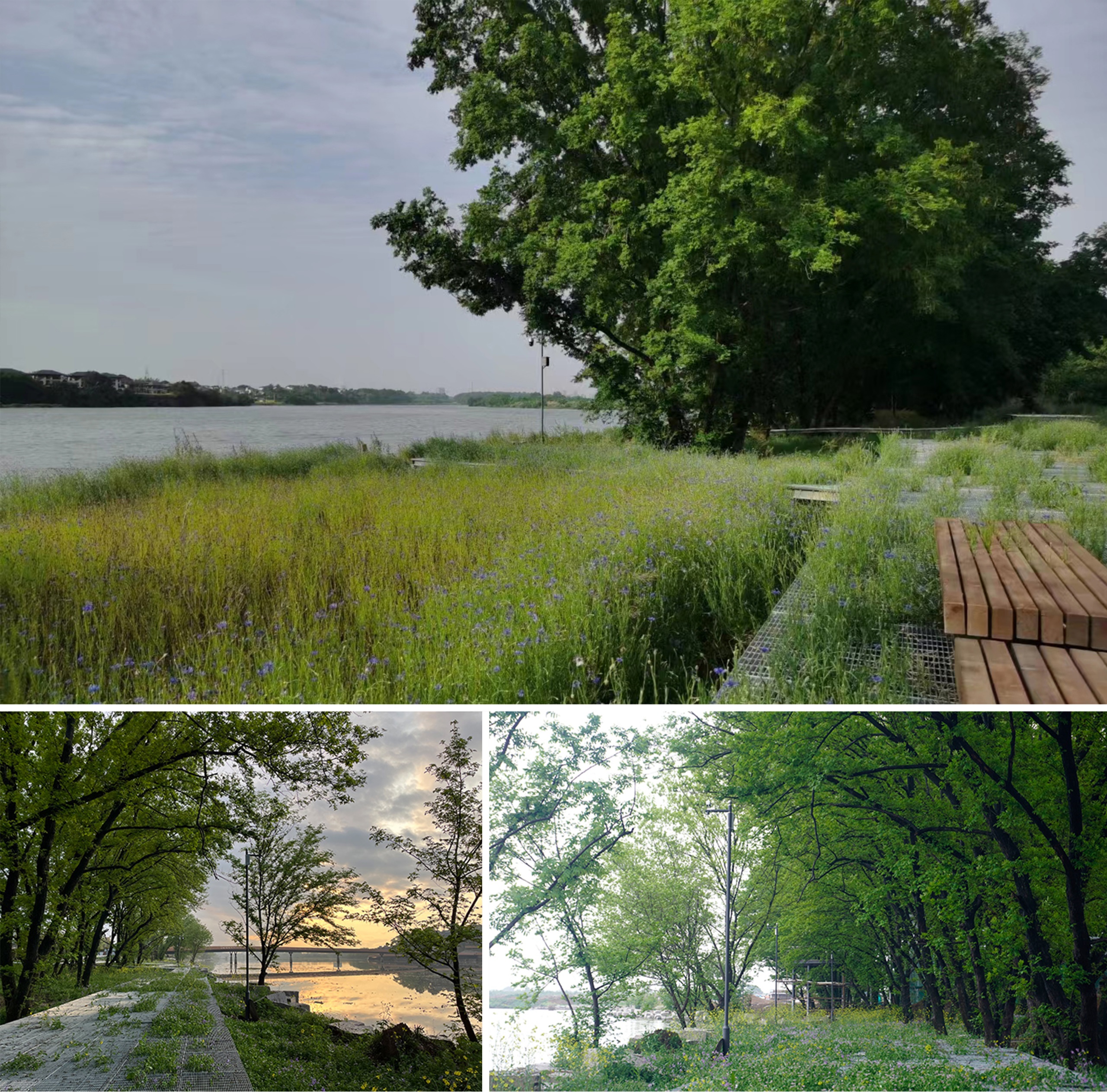 凤翔洲水文化公园丨中国衢州丨张唐景观-58