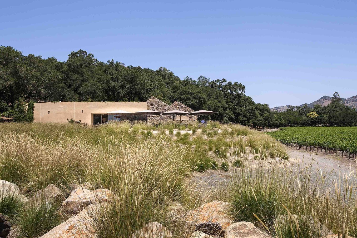 Stags Leap Wine Cellar Winery Visitor Center  BC Estudio Architects-23