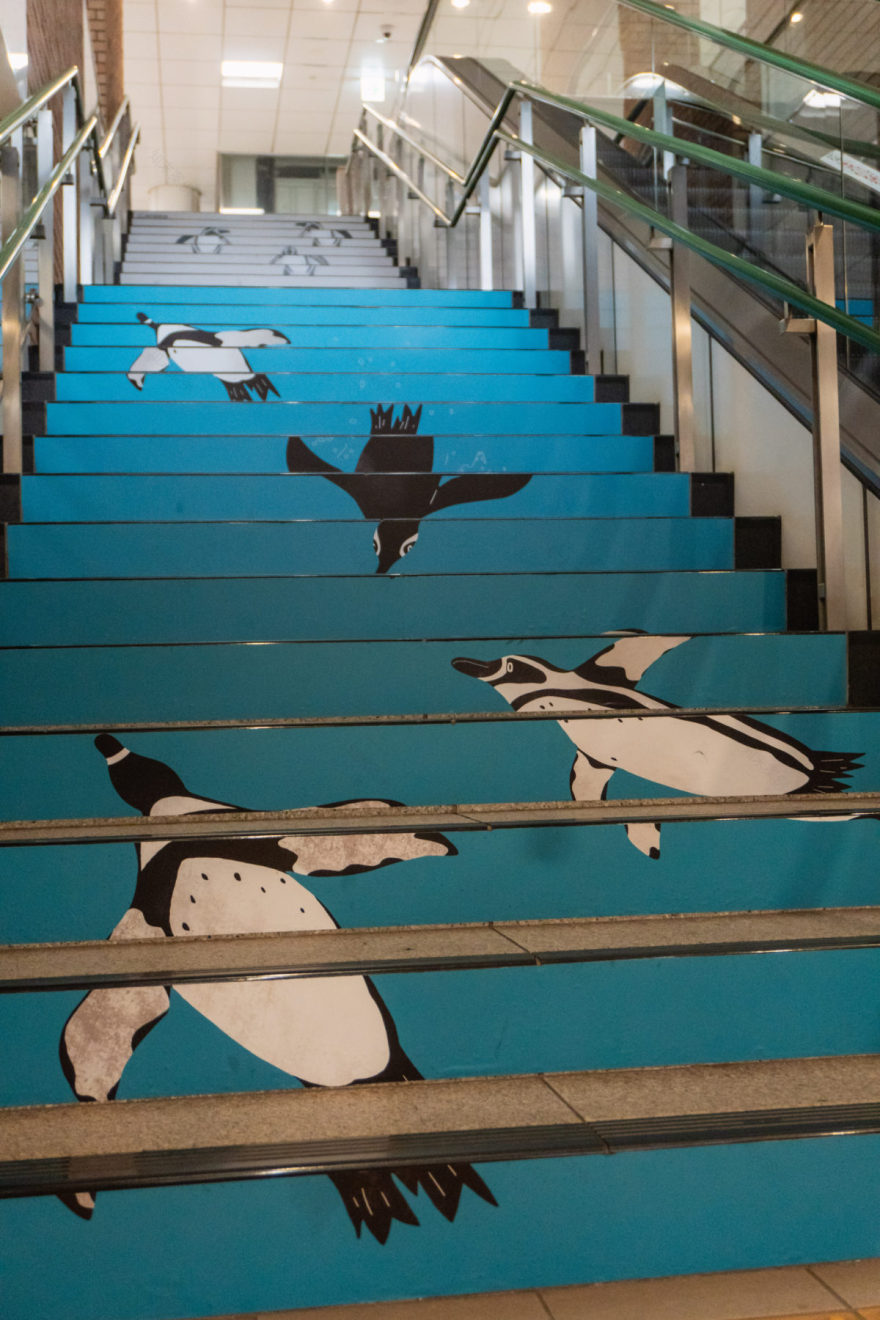 薬院大通駅 福岡市動植物園特別装飾丨anno lab-16