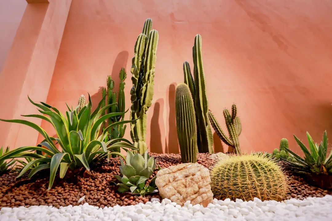 重返自然 寻找心灵的那片绿洲-56