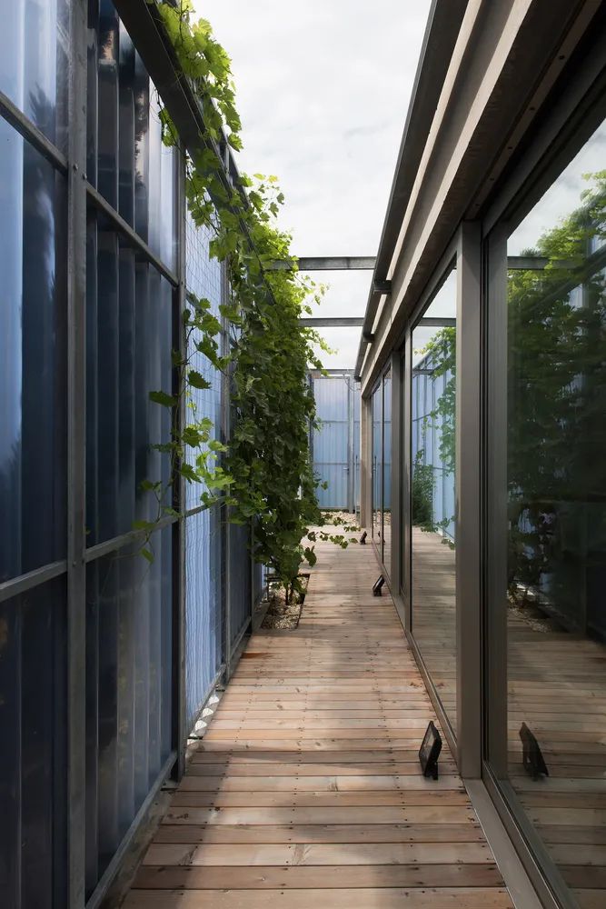 家庭住宅与花园的和谐共生-15