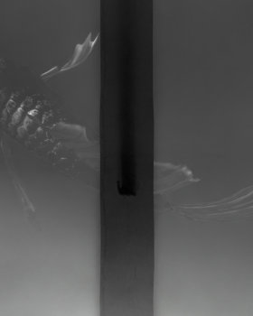 SEODAMHWA 3D MOTION