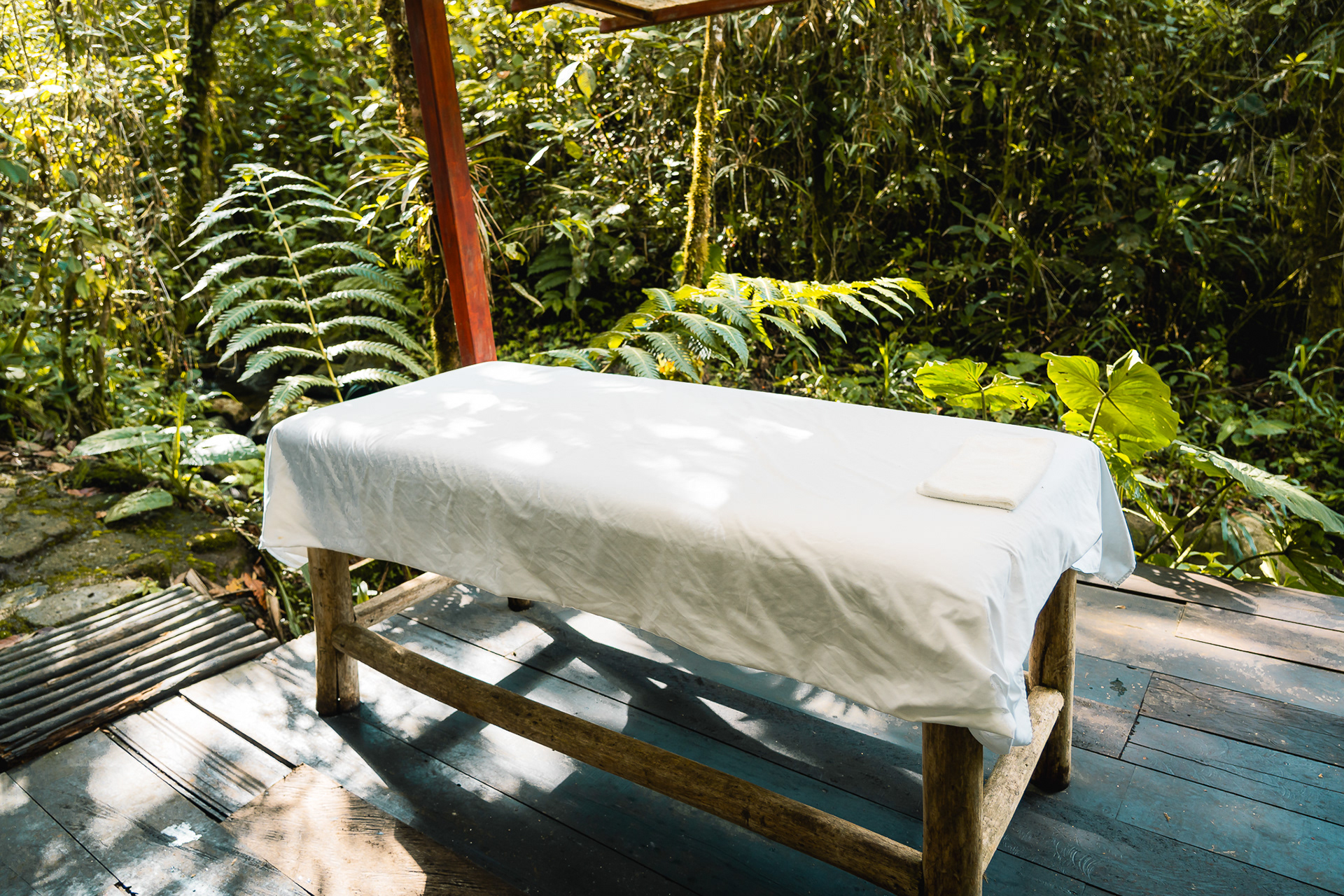 Cedro Amazon Lodge-15