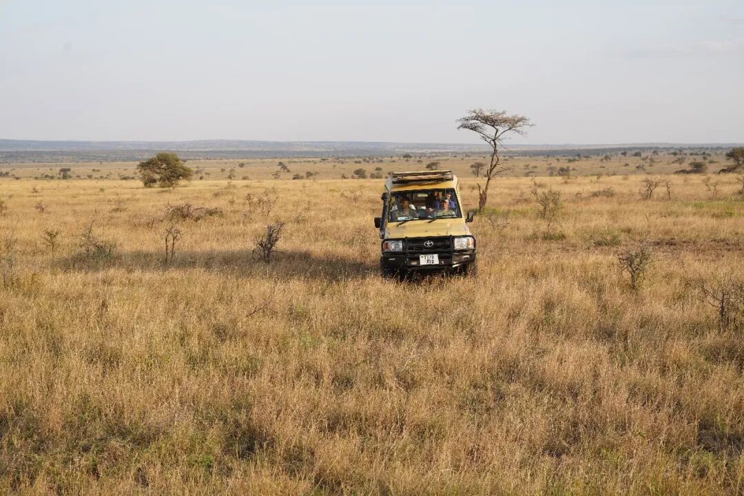 非洲考察1|初抵塞伦盖蒂-58