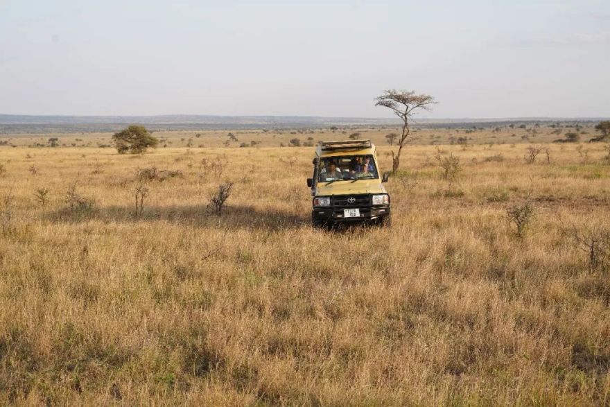 非洲考察1|初抵塞伦盖蒂-58