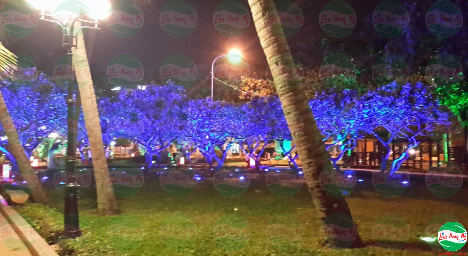 系统照明前滩公园  永隆美（注:原文表述可能不太准确规范）丨越南丨Liên Hoàn Mỹ（永隆美）公司-25