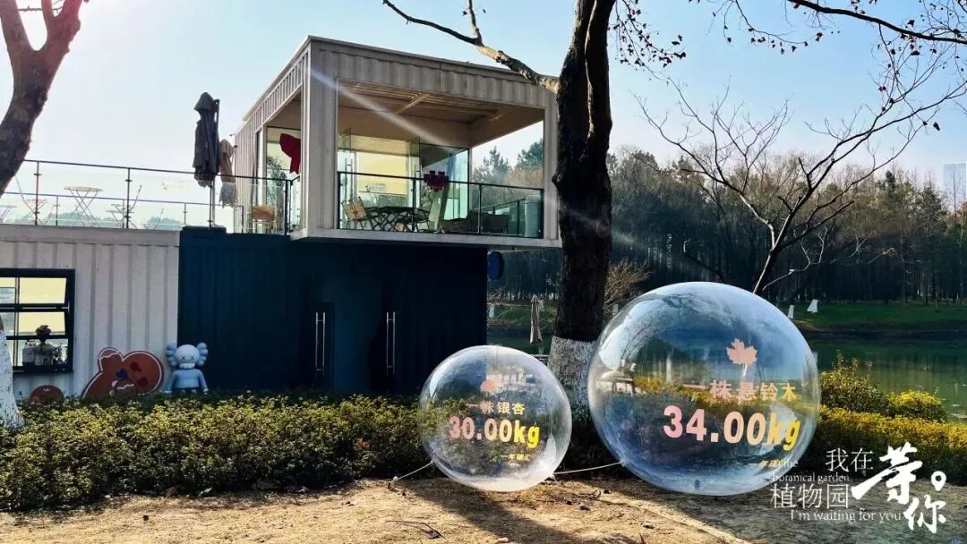 助力长三角生态绿色一体化发展|华建集团现代院原创设计嘉兴中央公园（嘉兴植物园）改造提升项目-44