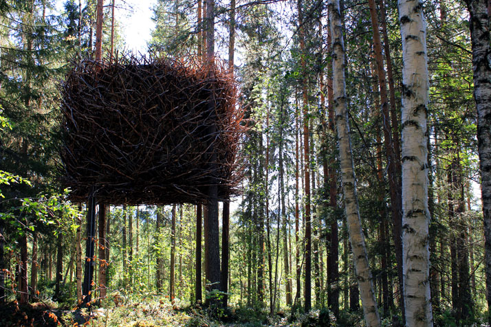 Treehotel...Sleep in Nature!-31