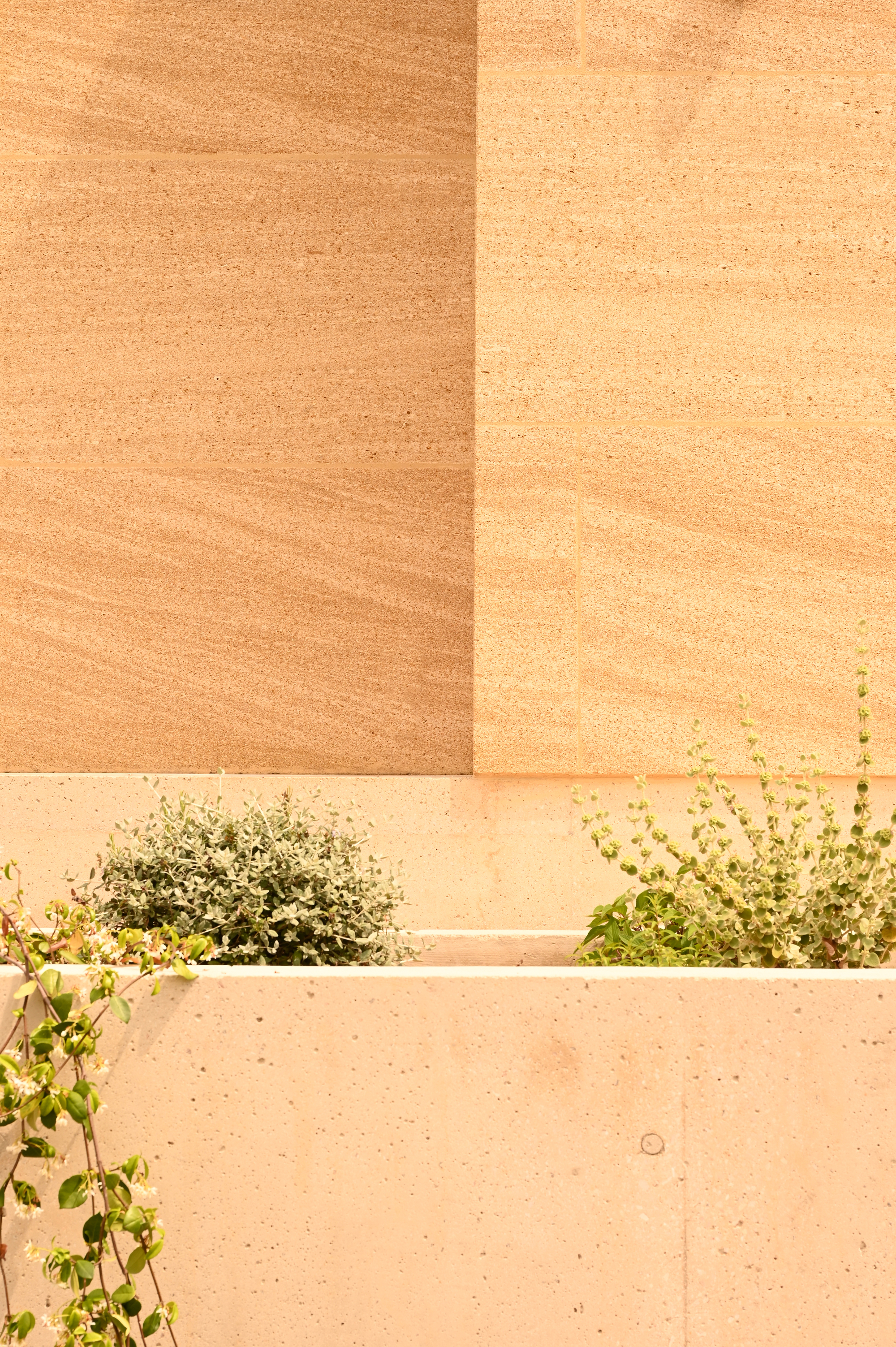 勒克洛别墅丨法国丨Bancaù Architectes-42