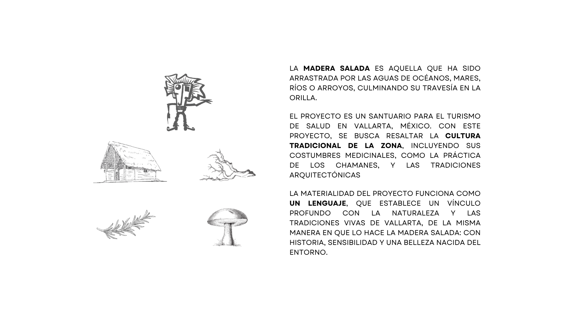 SANTUARIO MADERA SALADA-0