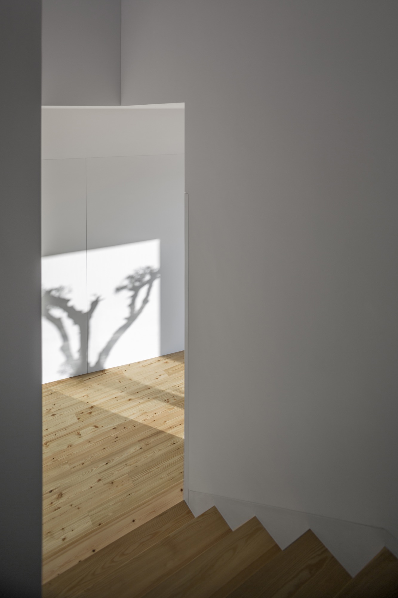 融入地形的葡萄牙私人住宅-51