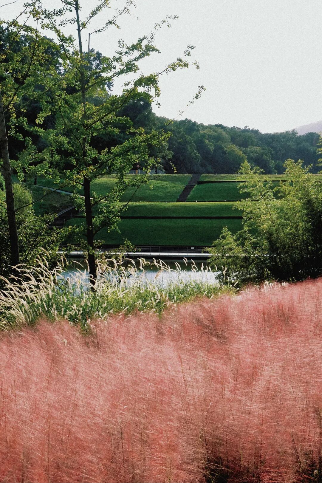 四方音乐岛开放预约！大江北岸新地标，限时免票登岛-47