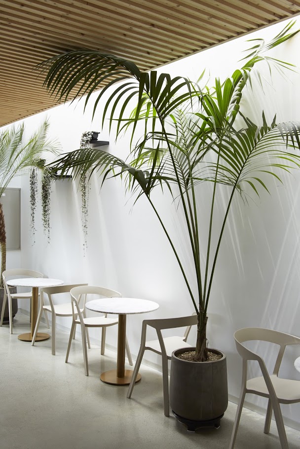 迷你咖啡馆 60 平米精致室内设计-11