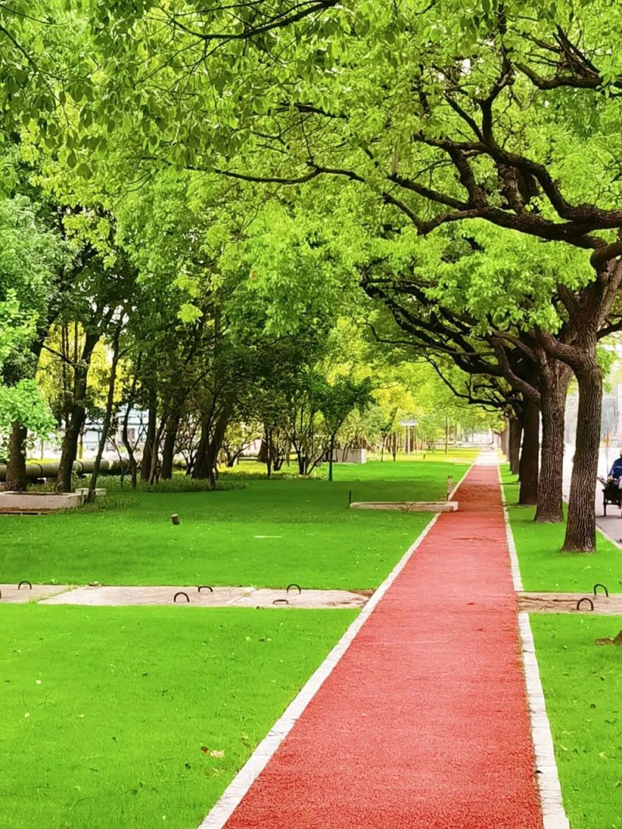 绿化养护|“智”护钢铁绿洲:宝钢宝山基地的绿色呼吸由我们来守护-163