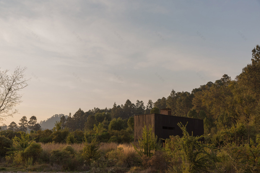 墨西哥雨水收集之家丨Robert Hutchison Architecture + JSa-33