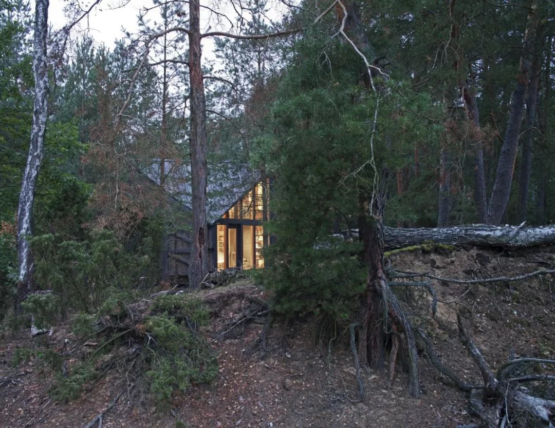 书虫小木屋 | 沉浸在大自然中的阅读空间-8