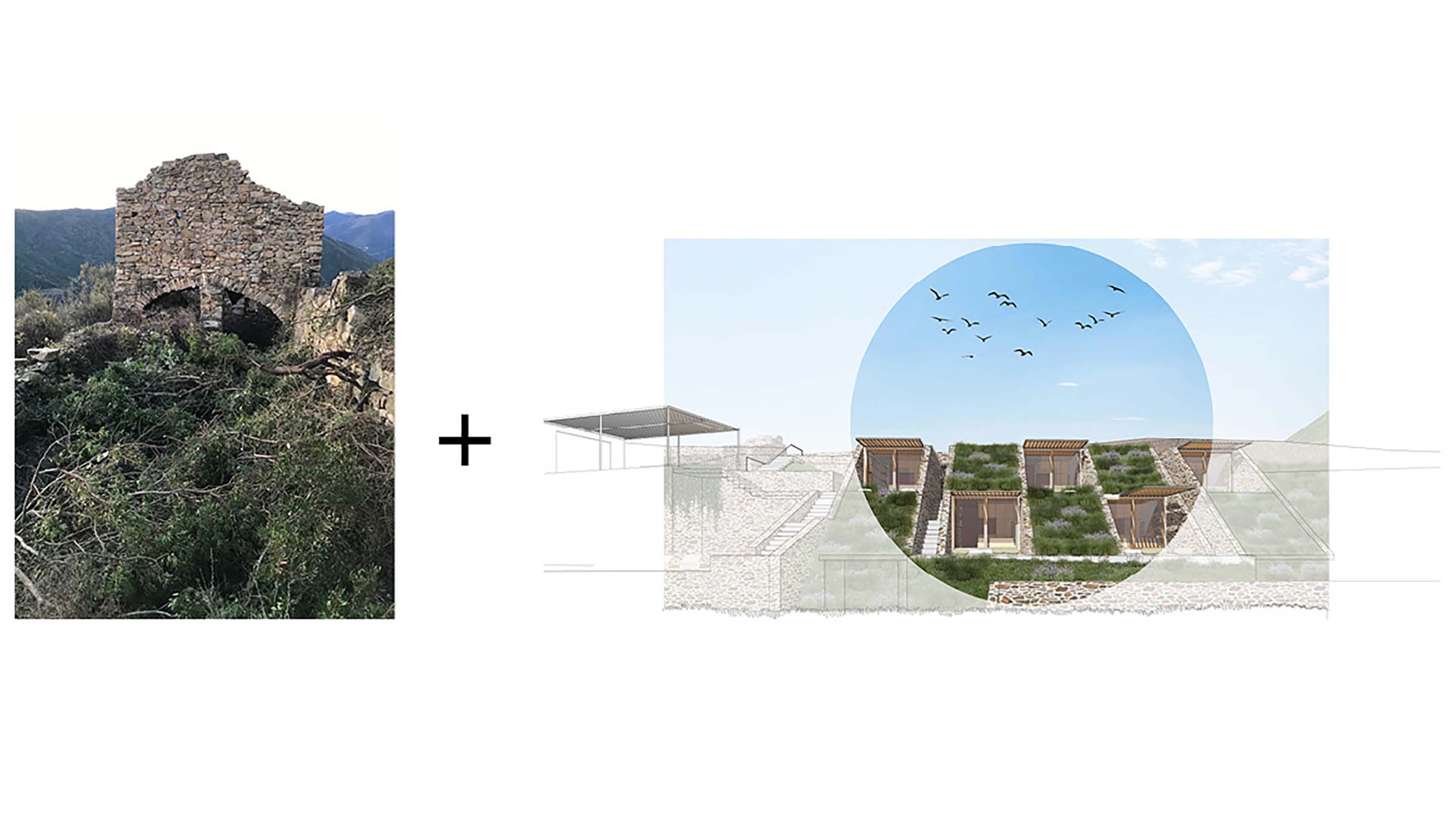 兰佩杜萨林业丨意大利-4