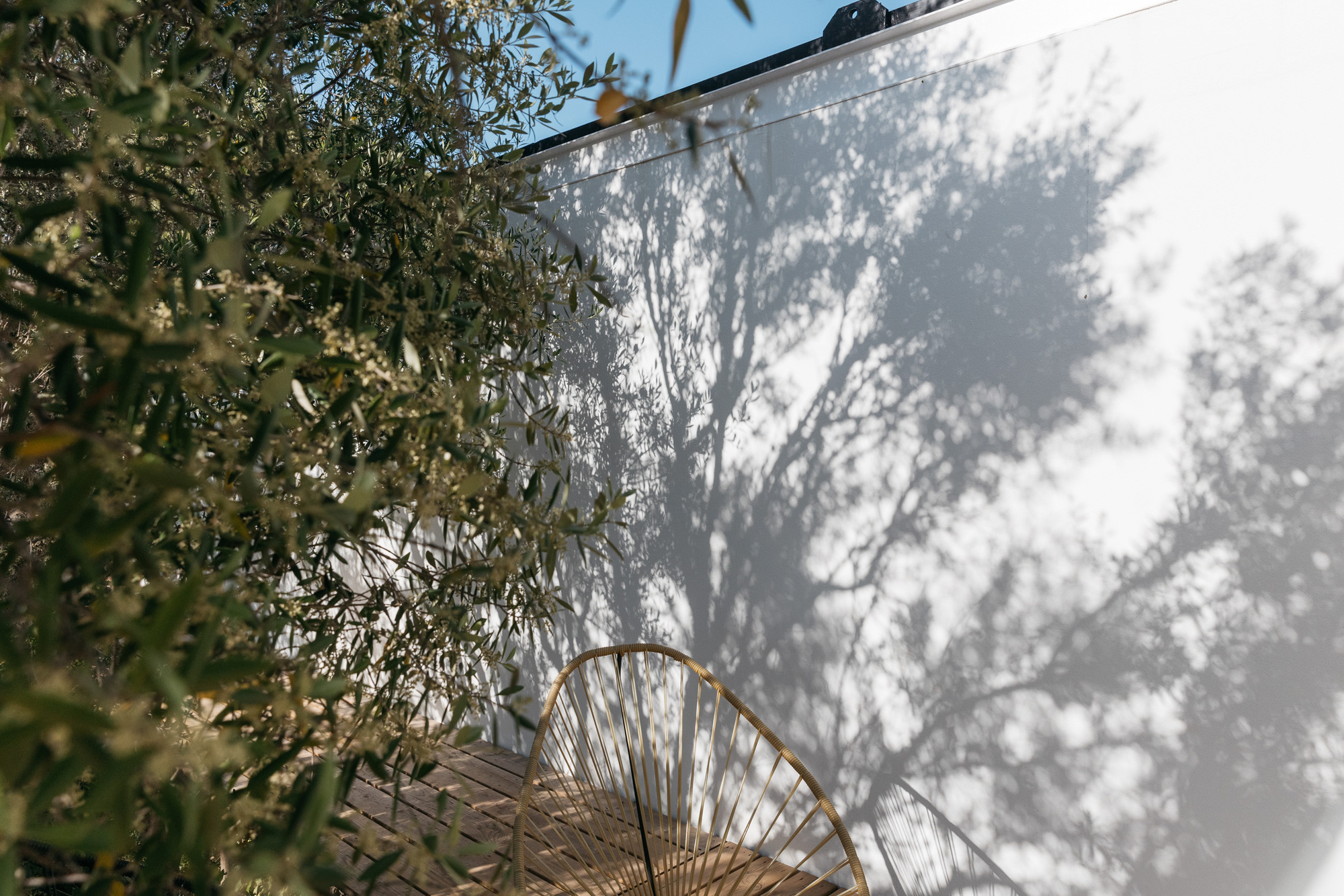 丨西班牙丨delavegacanolasso-25