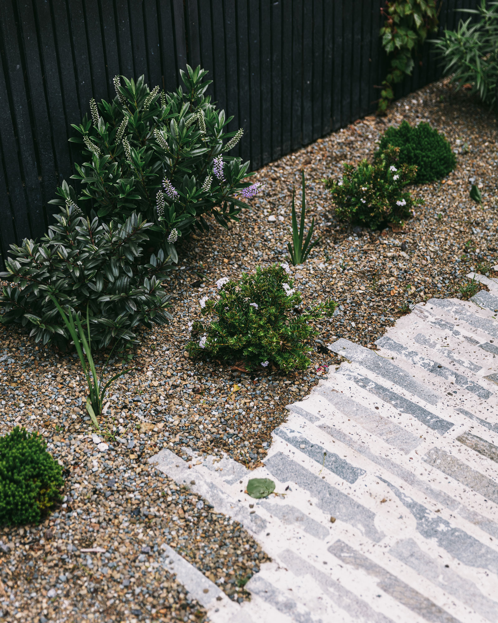 自然的温暖 · 埃尔伍德住宅丨澳大利亚丨B.E Architecture-35