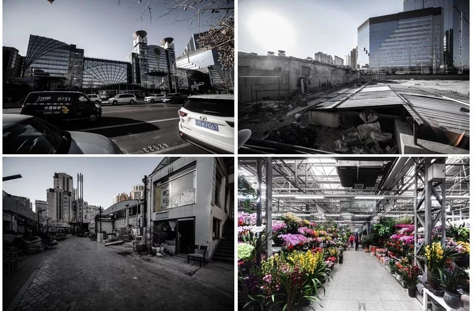 北京莱太花卉市场改造更新 | 绿色生态与时尚元素的融合-43