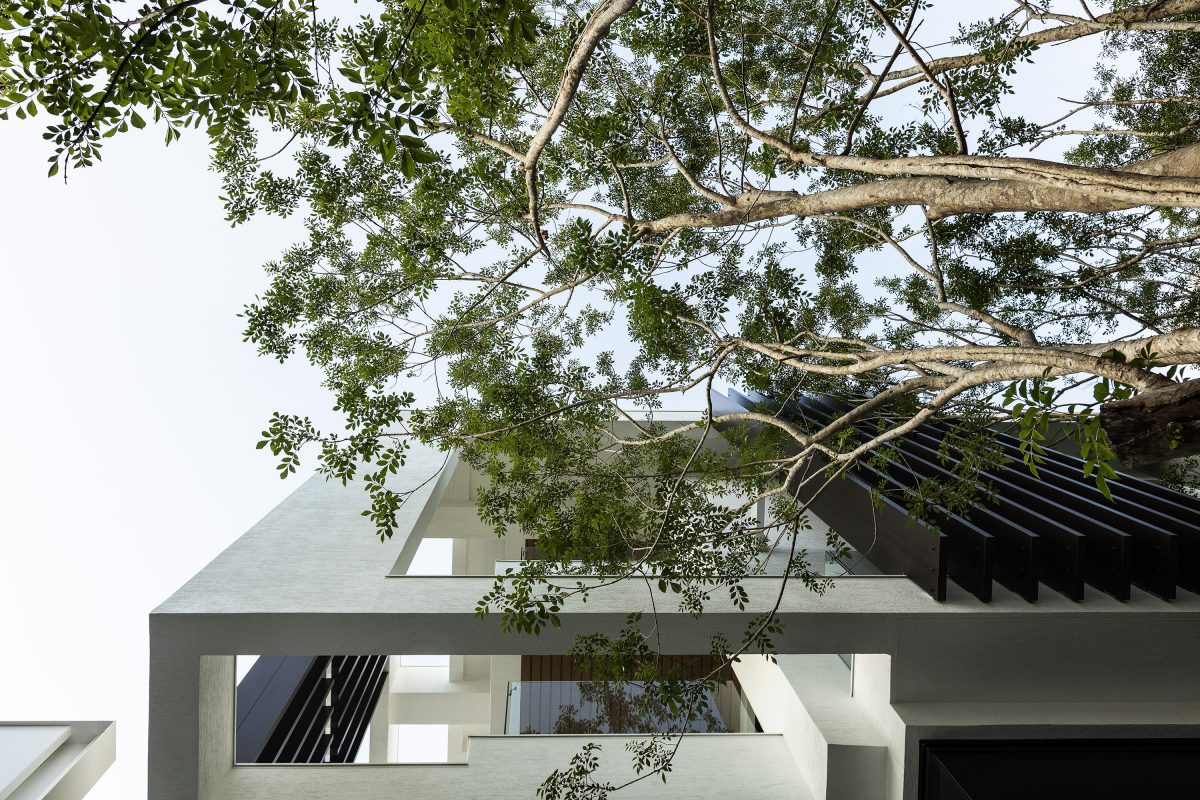 橙田建築「Greenlight Manor」重塑人們認知的大宅空間 - WEHOUSE-8