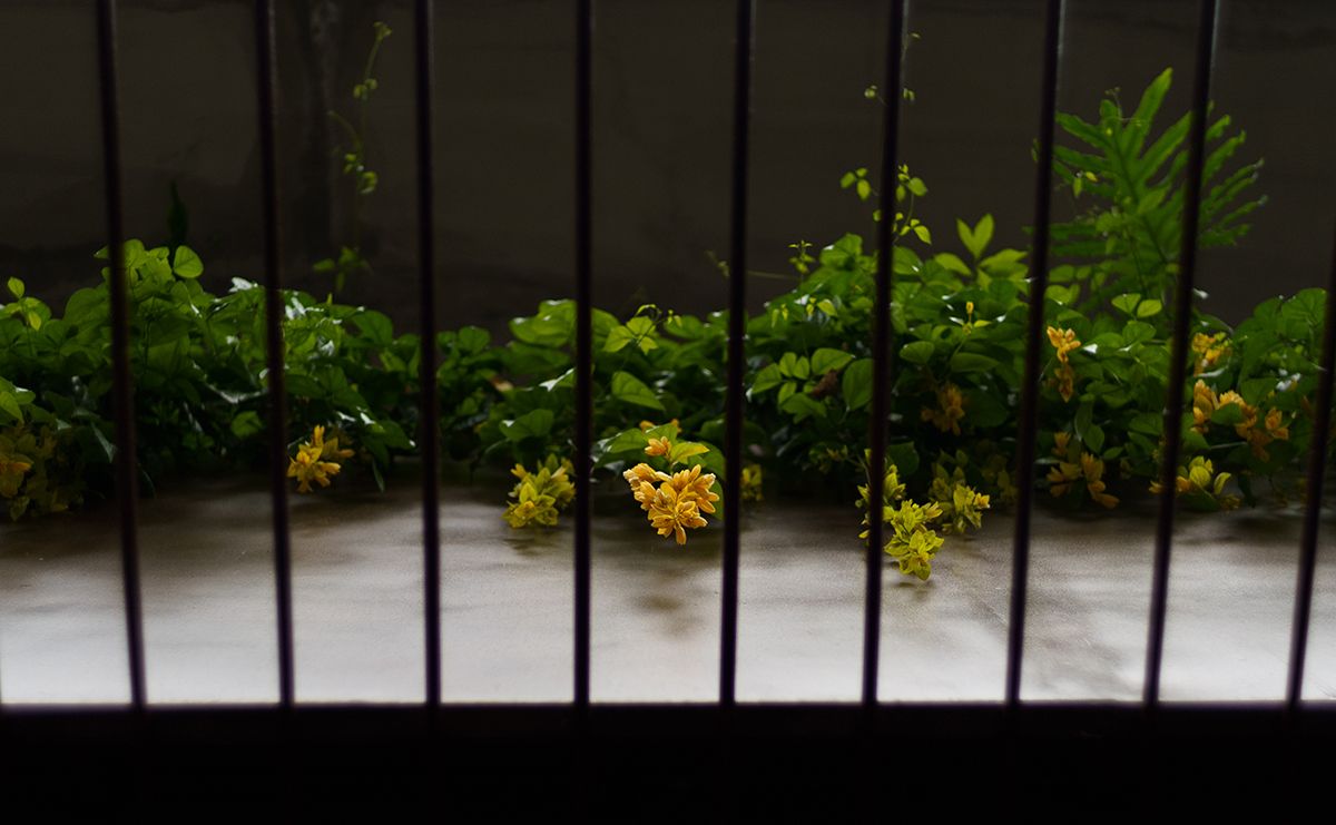 度假风 Soc's House 木质游艇住宅-25