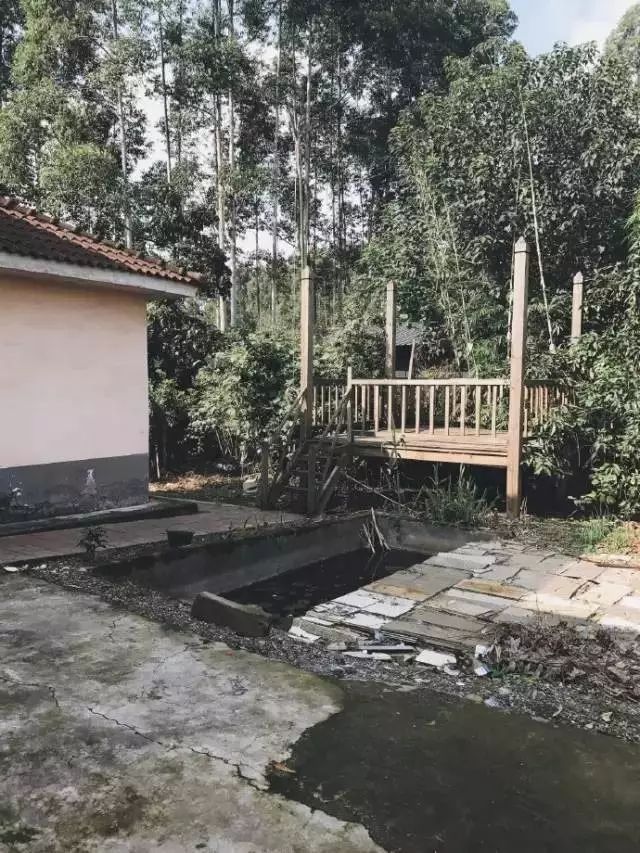 Color Case/90后帅小伙儿仅花3千爆改出租屋后-69