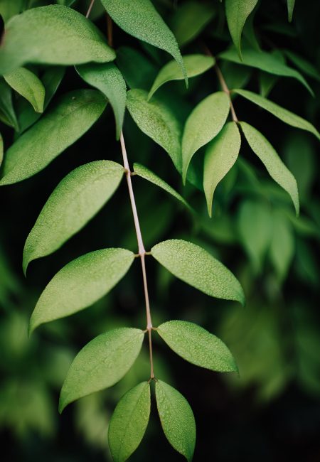 赫斯基森项目  GNK景观设计公司（这里GNK为特定名称，若无更多背景难以更精准翻译，推测一般为专业领域的公司名称，Landscapes可理解为景观设计公司等相关含义） -18