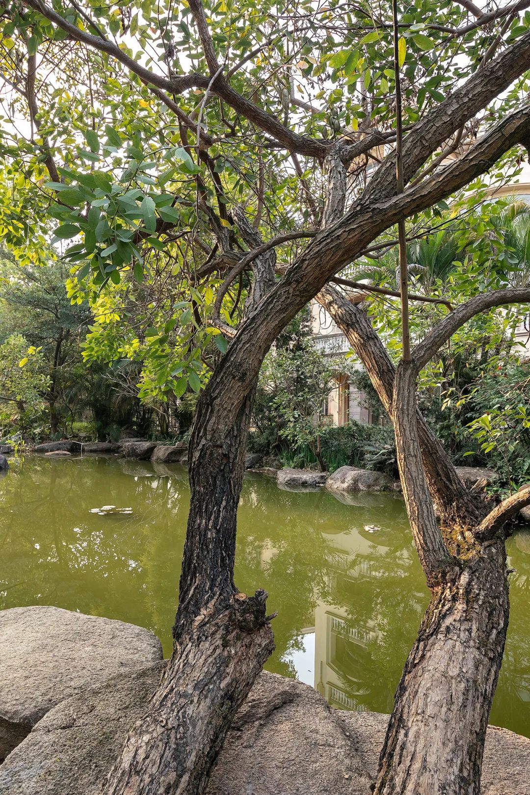 东莞御富别墅-65