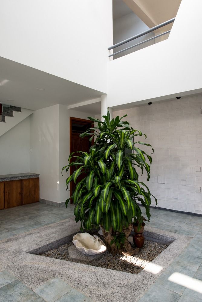 A+Studio 打造越南大叻“我的家”-16