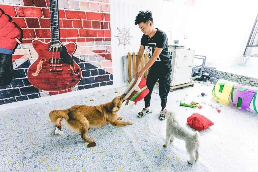 大理的小巷子 | 生活与艺术的创意融合-278