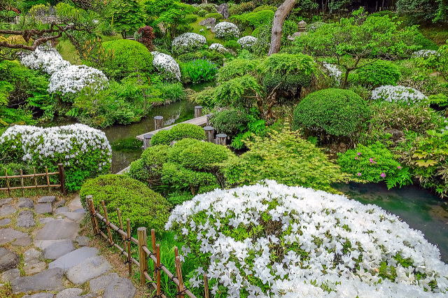 本间美术馆（鹤舞园）-40