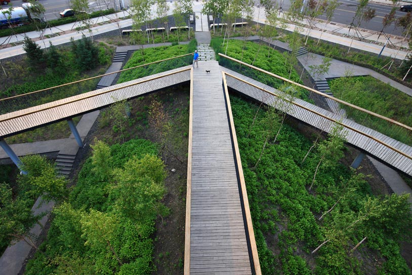 Qunli Stormwater Park（群力雨水公园）丨中国哈尔滨丨Turenscape-18