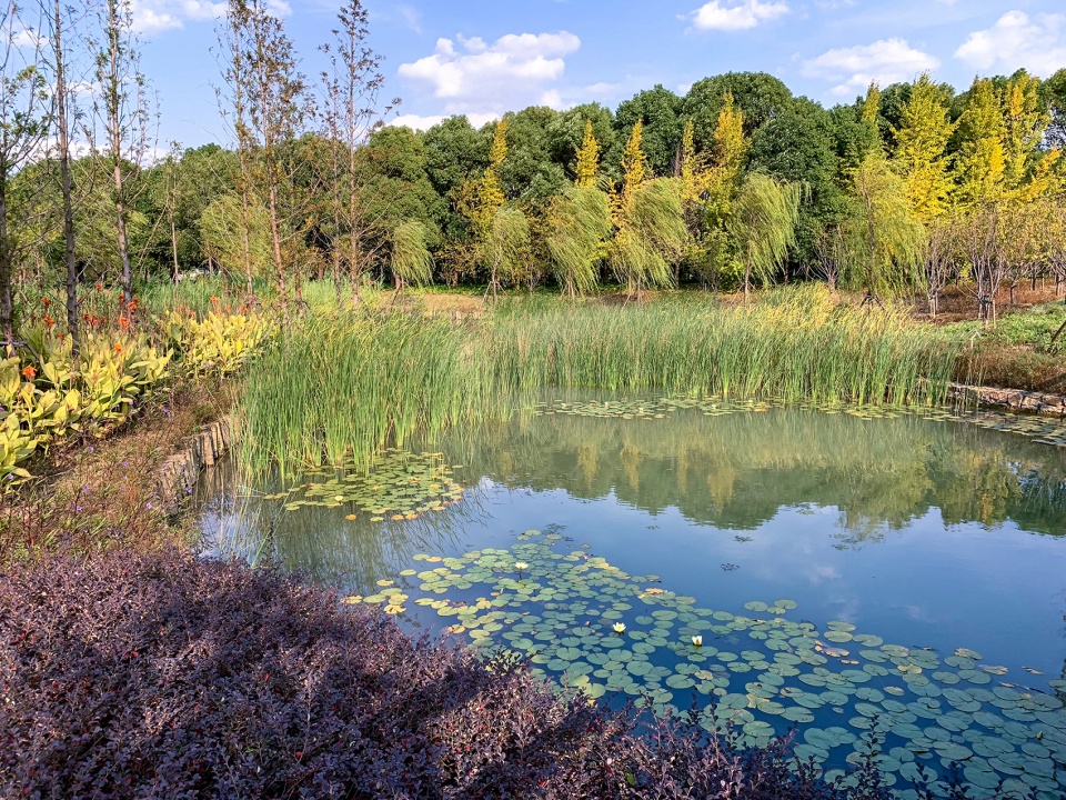 昆山市城市生态森林西入口丨中国鞍山丨PLAT Studio-75
