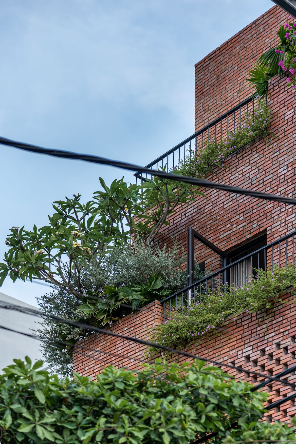 越南 Minaka 城市住宅的室外室内一体化设计-2