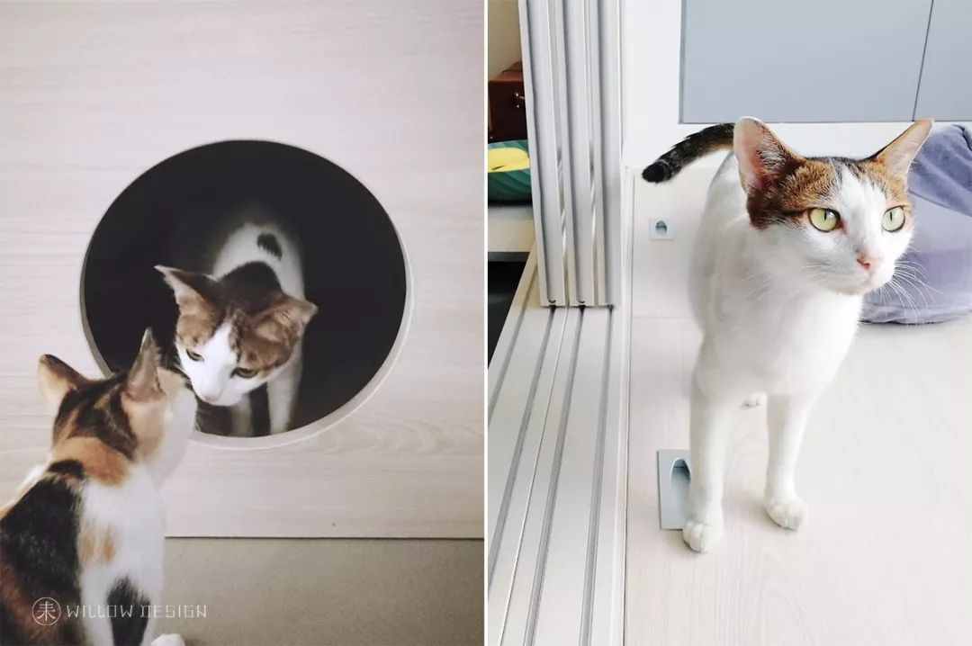 未耒 | 三房两猫-53