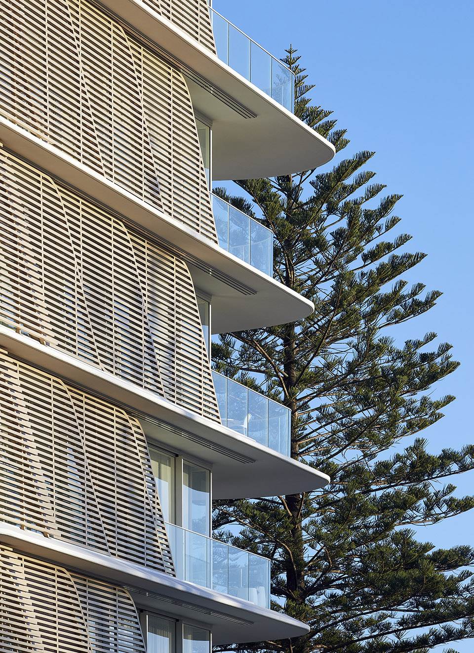 Norfolk Burleigh Heads 公寓丨澳大利亚昆士兰丨Koichi Takada Architects-30