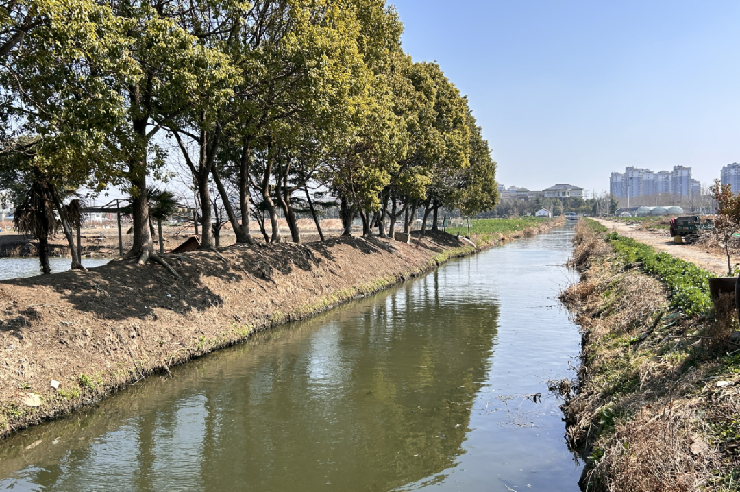 安全为基、质量为本！建成区河道整治提升EPC总承包项目高效推进-6