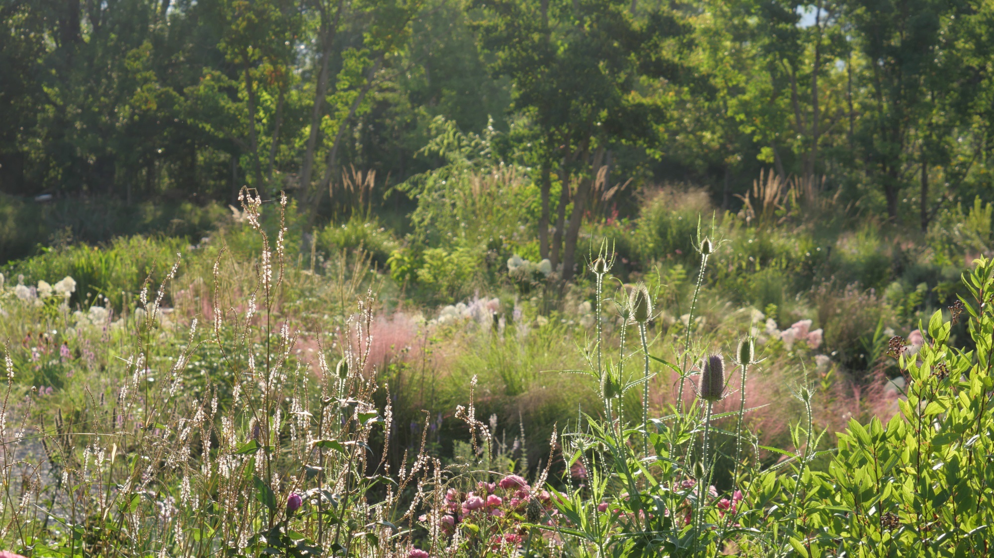 大理山下花园丨中国大理丨上海叙野景观设计有限公司-7