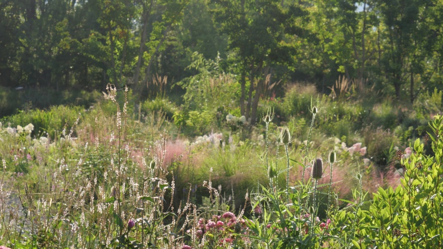 大理山下花园丨中国大理丨上海叙野景观设计有限公司-7