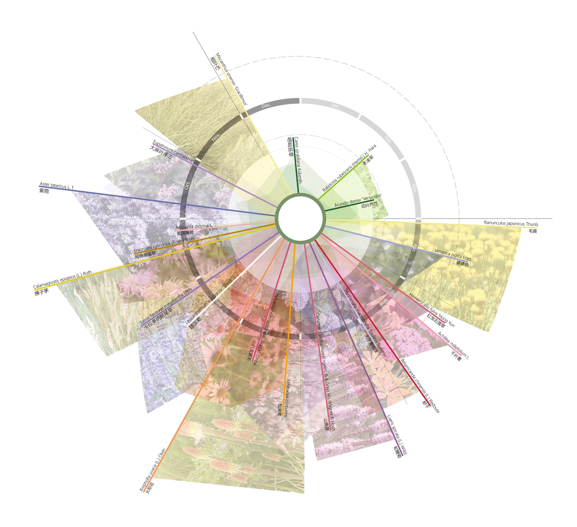 北京市三里屯西五街5号院花园丨中国北京丨OneScape一域景观事务所-204